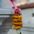 lightflow-thailand- 122_.jpg