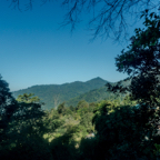 lightflow-thailand- 134_.jpg
