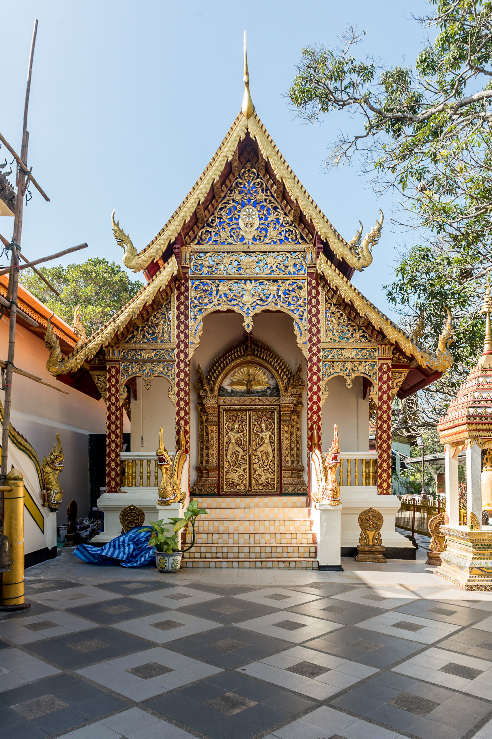 lightflow-thailand- 140_.jpg
