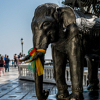 lightflow-thailand- 149_.jpg