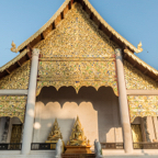 lightflow-thailand- 179_.jpg