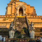 lightflow-thailand- 187_.jpg