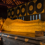 lightflow-thailand- 190_.jpg