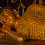 lightflow-thailand- 191_.jpg