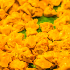 lightflow-thailand- 202_.jpg