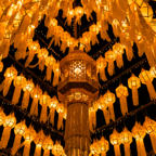 lightflow-thailand- 211_.jpg