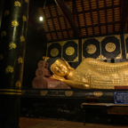 lightflow-thailand- 217_.jpg