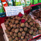 lightflow-thailand- 231_.jpg