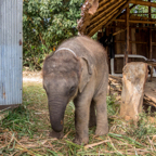 lightflow-thailand- 244_.jpg