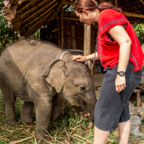 lightflow-thailand- 245_.jpg