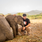 lightflow-thailand- 247_.jpg
