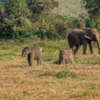 lightflow-thailand- 251_.jpg