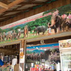 lightflow-thailand- 256_.jpg