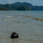 lightflow-thailand- 259_.jpg