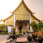 lightflow-thailand- 79_.jpg