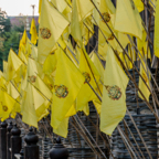 lightflow-thailand- 80_.jpg