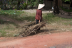 lightflow - vietnam (14 von 139).jpg